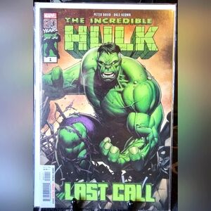 The Incredible Hulk: Last Call #1 Regular Cover